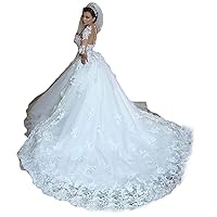 Sheer Long Sleeve Ball Gown Lace Wedding Dress for Bride Tulle Country Plus Size Bridal Gowns