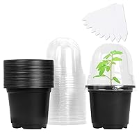 MIXC Plant Nursery Pots with Humidity Dome 4