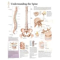 Understanding the Spine chart: Laminated Wall Chart Understanding the Spine chart: Laminated Wall Chart Wall Chart