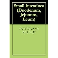 Small Intestines (Duodenum, Jejunum, Ileum)