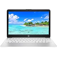 SGIN 17 Laptop, 8GB RAM 256GB SSD Notebook, 17 Inch Laptops with IPS Full  HD, Intel Celeron N4020(Up to 2.8GHz), Mini HDMI, Webcam, Dual Wi-Fi,  Expandable Storage 512GB TF(Gray) : Electronics 