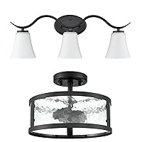 Moose Upgrade Your Home with a Stylish Black Ceiling Light and Matching Vanity Light Set