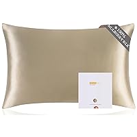 ZIMASILK 100% Pure Mulberry Silk Pillowcase for Hair and Skin Health,Soft and Smooth,Both Sides Premium Grade 6A Silk,600 Thread Count,with Hidden Zipper,1pc (Queen 20''x30'',Taupe)