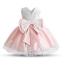 HNXDYY Baby Girl Tutu Dress Princess Lace Embroidery Wedding Party Gown