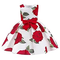 NSSMWTTC 3-10Y Toddler Formal Dresses Flower Girl Wedding Pageant Party Dress