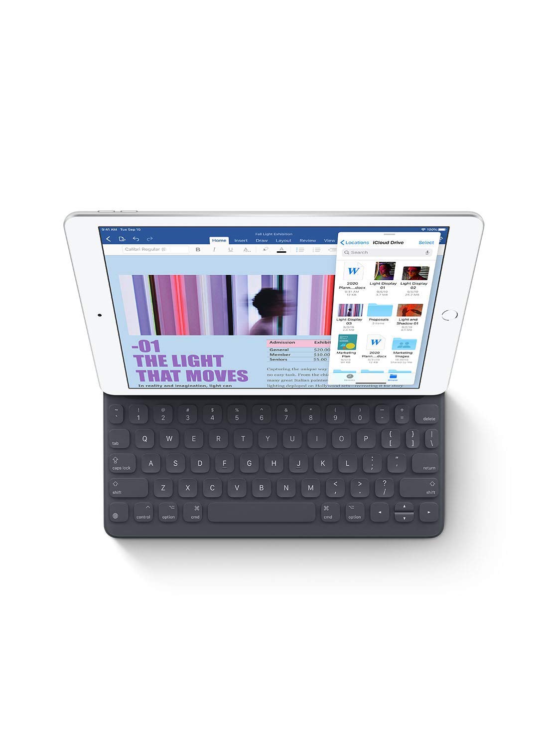 2019 Apple iPad (10.2-inch, Wi-Fi, 32GB) - Space Gray (Renewed Premium)