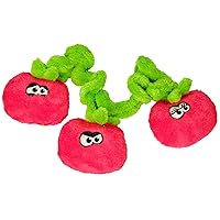 Duraplush Medium Vine of Tomatoes: Sqeakerless Eco-Friendly and Durable Toy for Dogs | Perfect for Fetch and Tug-of-War Play | Made in USA