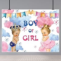 Prince or Princess Gender Reveal Backdrops Blue Pink Watercolor Clouds Pink Princess Dress Photo Background Boy or Girl Newborn Photography Background Baby Shower Party Banner Decor Supplies 7x5Ft
