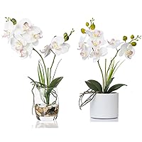 Jusdreen 2 PCS Artificial White Flower Bonsai with Glass Vase Vivid Orchid Flowers Arrangement Phalaenopsis Flowers Pot for Home Office Décor Table Centerpiece House Decorations