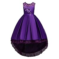 Flower Girls Dresses Lace Princess Wedding Party Dress Formal Tulle Gown A Line Ball Gown