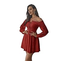 Summer Dress for Women Off Shoulder Lace Up Front Lantern Sleeve Lace Dress Casual Party