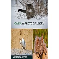 CATS: A PHOTO GALLERY (Dutch Edition)
