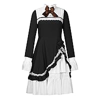 Maid Outfit Anime Cosplay Lolita Maid Dress for Women Japanese Anime Sissy Maid Sweet Classic Long Ruffle Dresses