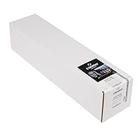 Canson Infinity Edition Etching Rag Fine Art Paper, Acid Free for Printmaking, 24 Inch x 50 Foot Roll, Bright White