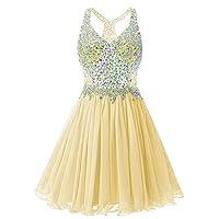 Women's Beaded Chiffon Sleeveless Homecoming Dresses A Line Cocktail Party Dresses