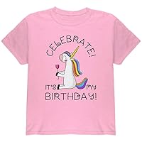 Unicorn Celebrate It's My Birthday Youth T Shirt