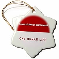 3dRose How Much Does Abortion Cost on Red Background - Ornaments (orn-60813-1)