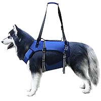 Dog Lift Harness, Full Body Support & Recovery Sling, Pet Rehabilitation Lifts Vest Adjustable Breathable Straps for Old, Disabled, Joint Injuries, Arthritis, Paralysis Dogs Walk (Blue, XXL)