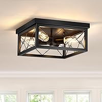 4-Lights Kitchen Light Fixtures Ceiling, Farmhouse Hallway Light Fixtures, Black Close to Ceiling Lighting for Dining Room Living Room, Dimmable LED Bulbs Included