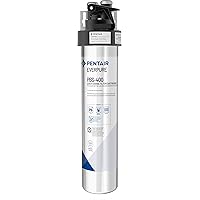 Pentair Everpure PBS-400 Drinking Water System, EV927085, Ideal for use in Prep Sink and Wet Bar, Includes Filter Head, Filter Cartridge, All Hardware and Connectors, Silver