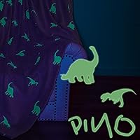 JINCHAN Dinosaur Glow in The Dark Blanket, Kids Throw Blanket for Boys and Girls Gift, Grey Lightweight Flannel Fleece Throw Blankets for Couch Bed Warm Soft Cozy Throw Winter Baby Blankets 50x60 Inch
