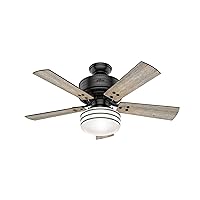 Hunter Fan Company, 54149, 44 inch Cedar Key Matte Black Indoor / Outdoor Ceiling Fan with LED Light Kit and Handheld Remote