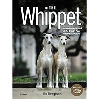 The Whippet: An Authoritative Look at the Breed’s Past, Present and Future