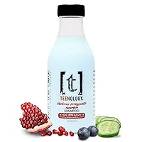 Shampoo for Teens - Avoid Forehead and Body Breakouts - No Sulfates or Parabens, Noncomedogenic, Natural Botanical Extracts, 16 oz. (Blueberry Pomegranate Cucumber)