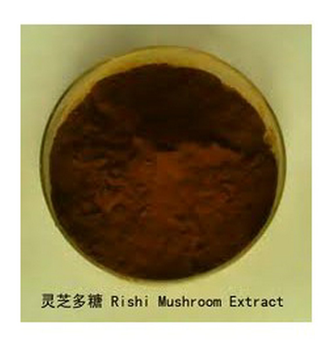 Reishi Lingzhi Ganoderma lucidum Extract polysaccharide30% triterpene2% 1Kilo