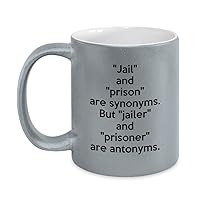 Funny Jailer Grey Mug - Jail and