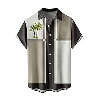 Tropical Hawaiian Shirt for Men Button Down Short Sleeve Casual Caribbean Shirts Holiday Funny Flamingo Graphic Beach