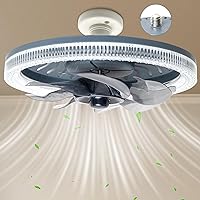 Ceiling Fans with Lights, Low Profile Indoor and Outdoor Modern Ceiling Fans, 12
