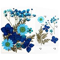7.5cm*10CM Small Dried Flower Natural Dry Plants for Candle Epoxy Resin Pendant Necklace Jewelry Making Craft DIY Accessory Materia Accessories