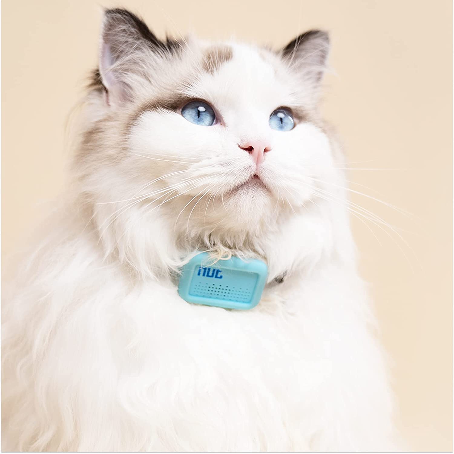 Mua Nutale Pet Finder Smart Collar, Cat Collar, Smart Tracker, Bluetooth  Locator, Dog Tracker, App Control, with Replaceable Battery, 1 Pack, Blue  trên Amazon Nhật chính hãng 2023 | Giaonhan247