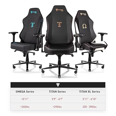  Secretlab Omega 2020 Horde Gaming Chair - Reclining