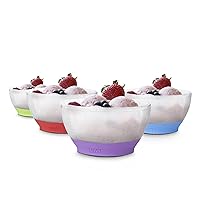 Host Freeze 18oz Set of 4 Dessert Fruit Acai Bowls, Anniversary Dad Birthday Ice Cream Gifts, Assorted