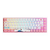 Akko 3068B Plus World Tour Tokyo R2 65% Percent 68-Key RGB Hot-swappable Mechanical Gaming Pink Keyboard, 2.4G Wireless/Bluetooth/Wired with PBT Dye-Sub Keycaps for Mac & Win Switch Jelly Pink