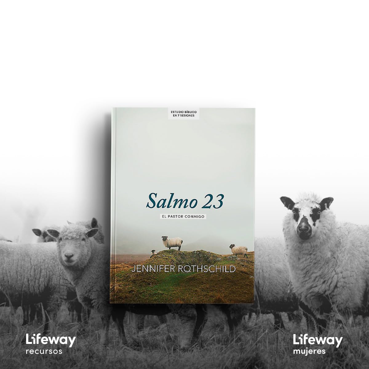 Salmo 23 - Estudio bíblico / SPA Psalm 23 (Spanish Edition)