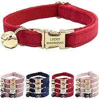 PETDURO Personalized Velvet Cat Collars with Bells & Name Engraved Metal Buckle Customized for Cute Girl Cats and Boy Cats (Small, Red Gold Buckle)