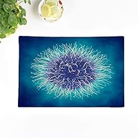 Set of 4 Placemats Cancer Virus Viral Disease Germ Infection Mimivirus 3D Bacteria 12.5x17 Inch Non-Slip Washable Place Mats for Dinner Parties Decor Kitchen Table