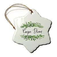 Carpe Diem Ceramic Hexagon Snowflake Christmas Ornament with Saying Funny Porcelain Keepsake Collectible for Winter Holiday Home Xmas Tree Decoration Gift for Friends