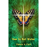 How to Boil Water How to Boil Water Kindle Paperback