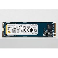 256GB Gaming Gen4 M.2 2280 PCIe NVMe Internal Solid State Drive (SSD) - BG5 Series, Laptop & Desktop Computer Compatible (Read Speed: 3400 MB/s | Write Speed: 1900 MB/s)