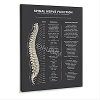 WENHUIMM Levels of Spinal Degeneration Chiropractors Spine Knowledge Guide Poster (8) Home Living Room Bedroom Decoration Gift Printing Art Poster Frame-style 12x16inch(30x40cm)