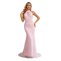 Halterneck Open Back Beading Mermaid Women's Prom Evening Shower Party Dress Celebrity Pageant Gala Gown