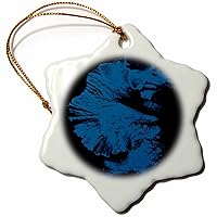 3dRose Photo of a Blue Mexican Petunia Flower with a Brush Stroke Effect. - Ornaments (orn-325129-1)