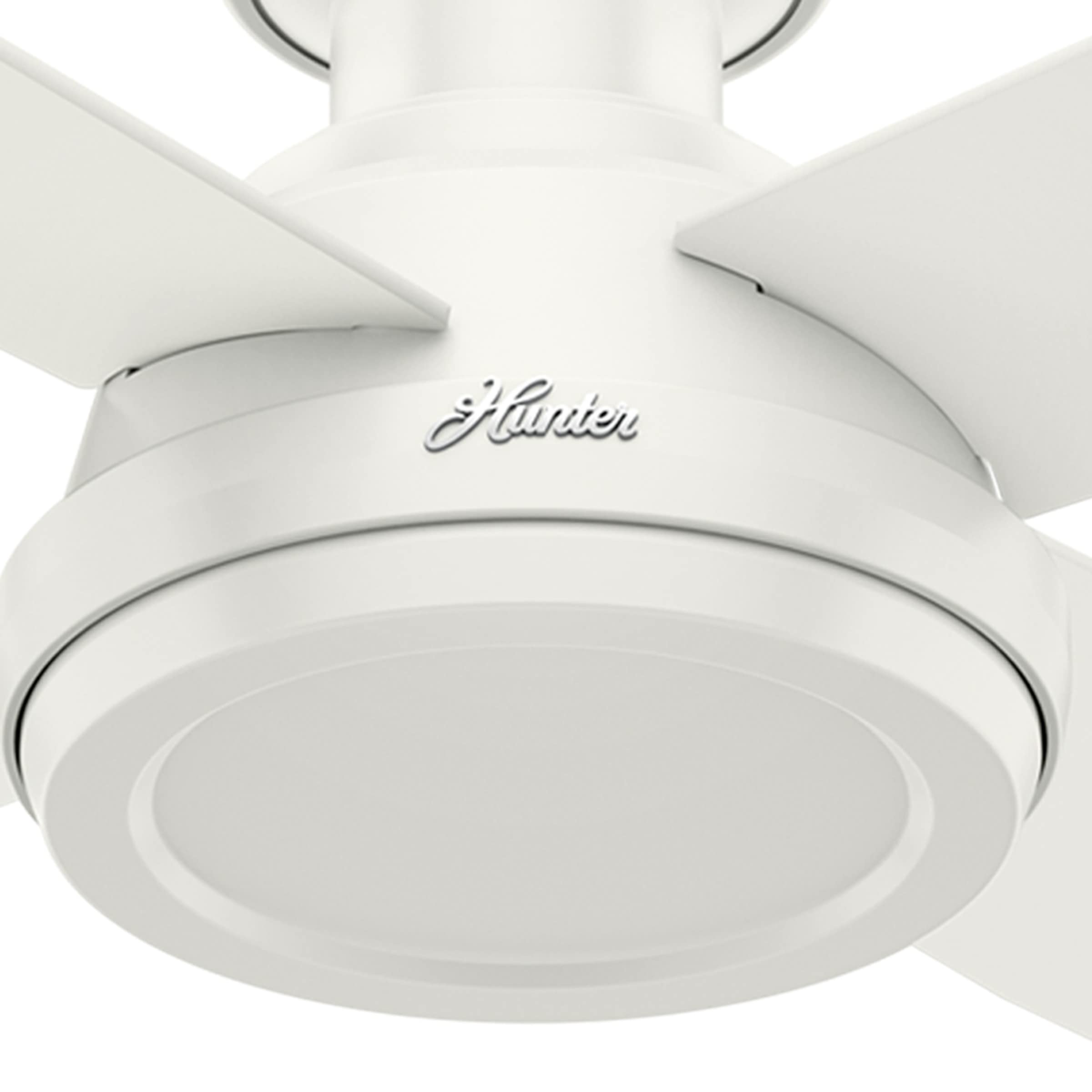 Hunter Fan Company 59248 Dempsey Indoor Low Profile Ceiling Fan with Remote Control, 52