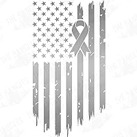 American Flag Cancer Ribbon Brain Awareness USA 1 (Metallic Silver) (Set of 2) Premium Waterproof Vinyl Decal Stickers Laptop Phone Accessory Car Window Bumper Mug Tuber Cup Door Wall