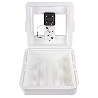 Little Giant® Digital Still Air Incubator | 41 Eggs | Egg Incubator with Temperature and Humidity Control | Chick Incubator