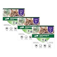 Advantage II Large Cat Vet-Recommended Flea Treatment & Prevention | Cats Over 9 lbs. | 12-Month Supply